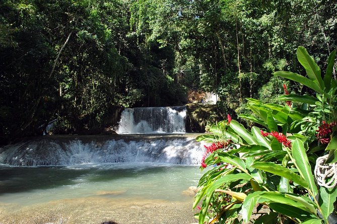 YS Falls, Black River Safari, Appleton Rum Tour OR Pelican Bar (Choose Up to 3) - A Private South Coast Day With Up to Three Stops
