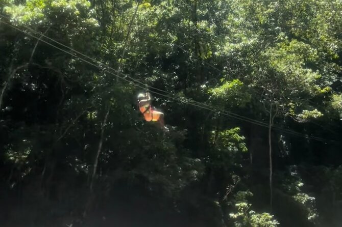 YS Falls, Black River Safari, Appleton Rum Tour OR Pelican Bar (Choose Up to 3) - How the Day Flows, From Pickup to Photo Stops