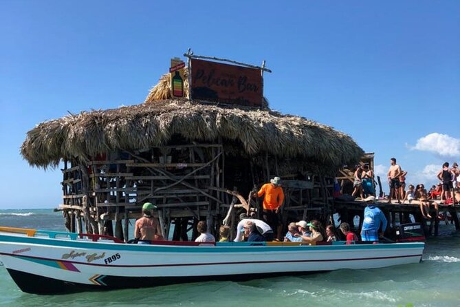 YS Falls, Black River Safari, Appleton Rum Tour OR Pelican Bar (Choose Up to 3) - Who This Tour Fits Best (and Who Might Want a Simpler Plan)